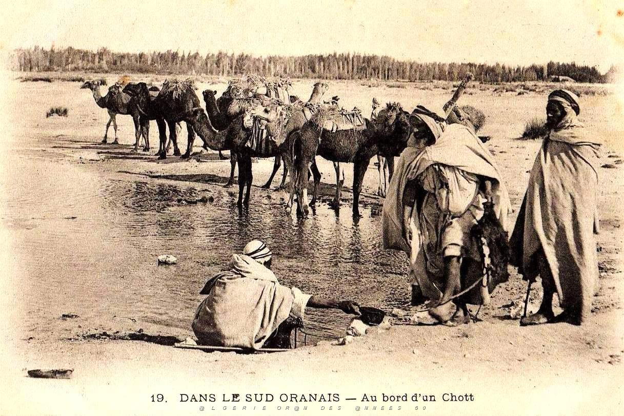 Images d'Algerie 176.jpg